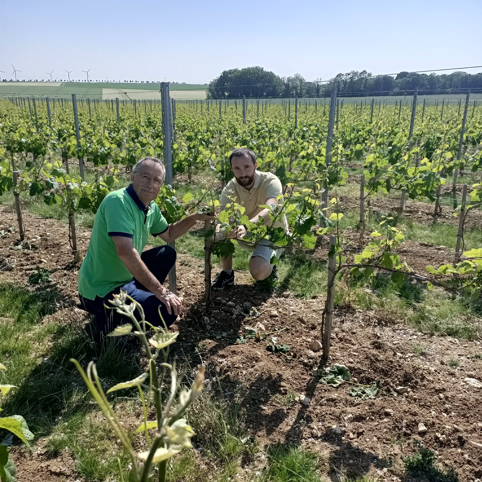 Pierre-Louis et Philippe