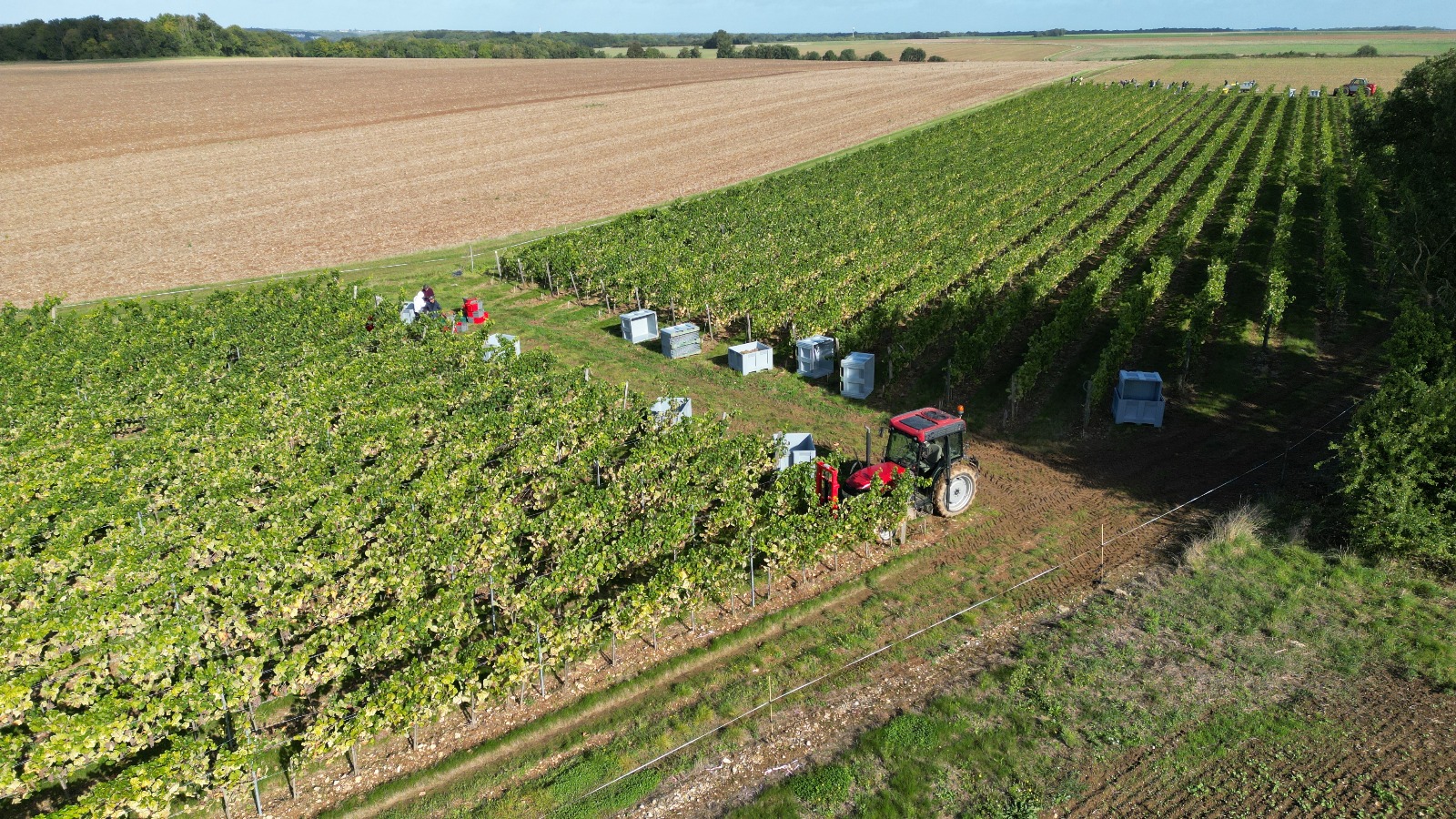Nos vignes vues du ciel